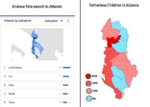 Fatherless Children in Albania Andrew Tate search in Albania Interest subregion Subregion Lezhé County Fier 10 Vlora Durrés Tirana