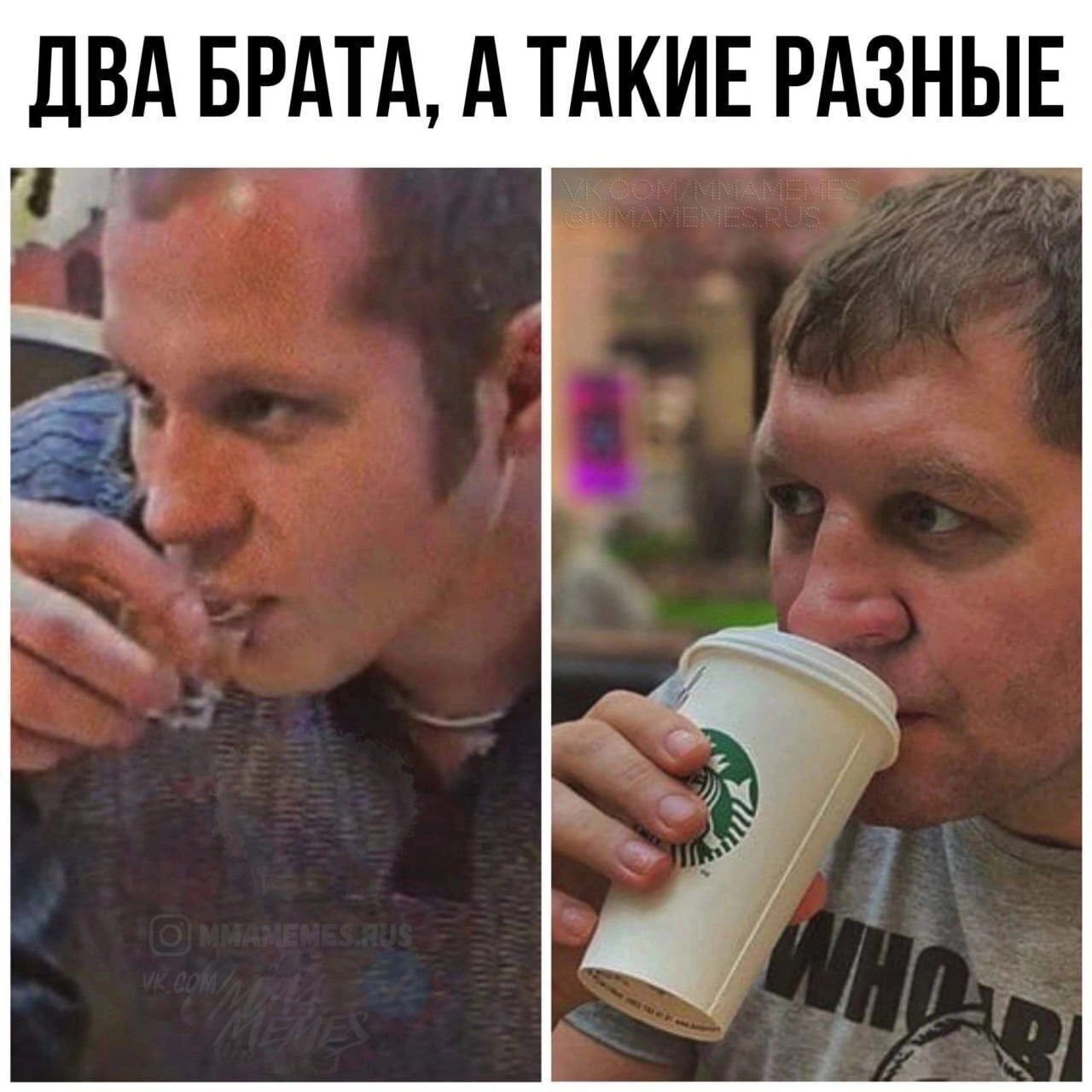 ДВА БРАТА, А ТАКИЕ РАЗНЫЕ