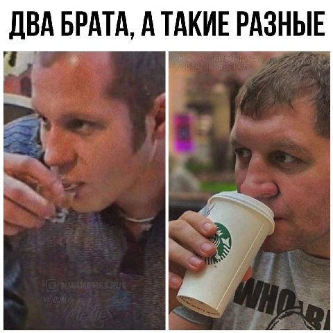 ДВА БРАТА, А ТАКИЕ РАЗНЫЕ