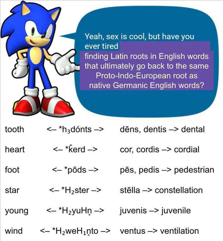 Yeah, sex is cool, but have you ever tired Latin roots in English words that ultimately back to the same Proto-Indo-European root as native Germanic English words? tooth déns, dentis dental heart *ker