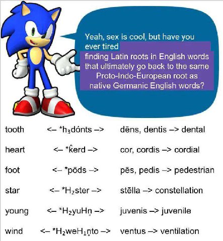 Yeah, sex is cool, but have you ever tired Latin roots in English words that ultimately back to the same Proto-Indo-European root as native Germanic English words? tooth déns, dentis dental heart *ker