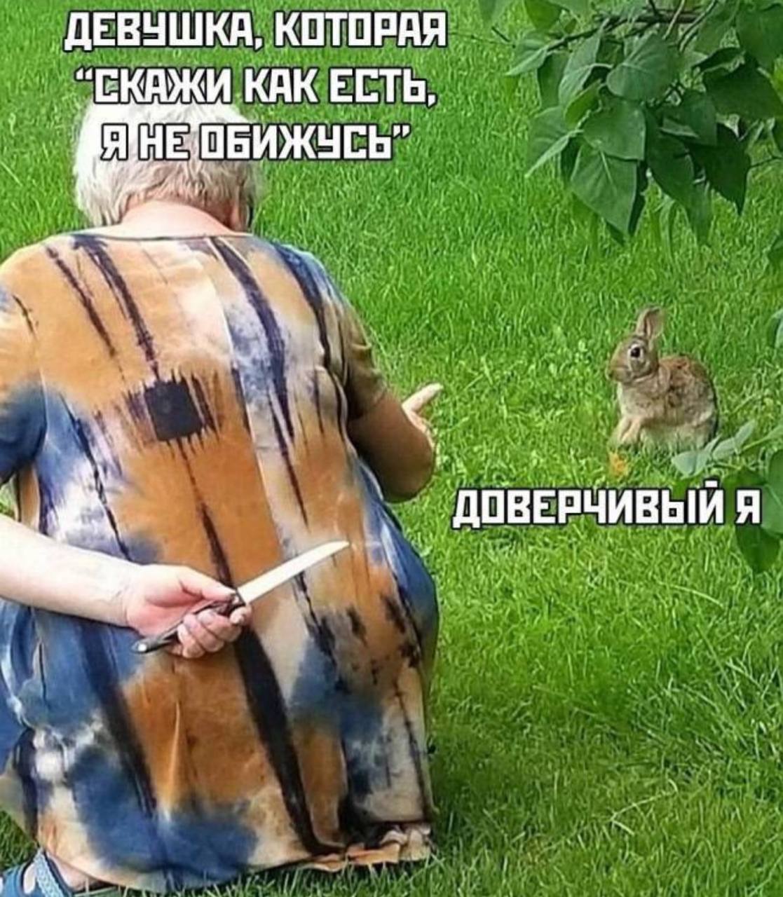 ДЕВУШКА, КОТОРАЯ “СКАЖИ КАК ЕСТЬ, у ДОВЕРЧИВЫЙ a
