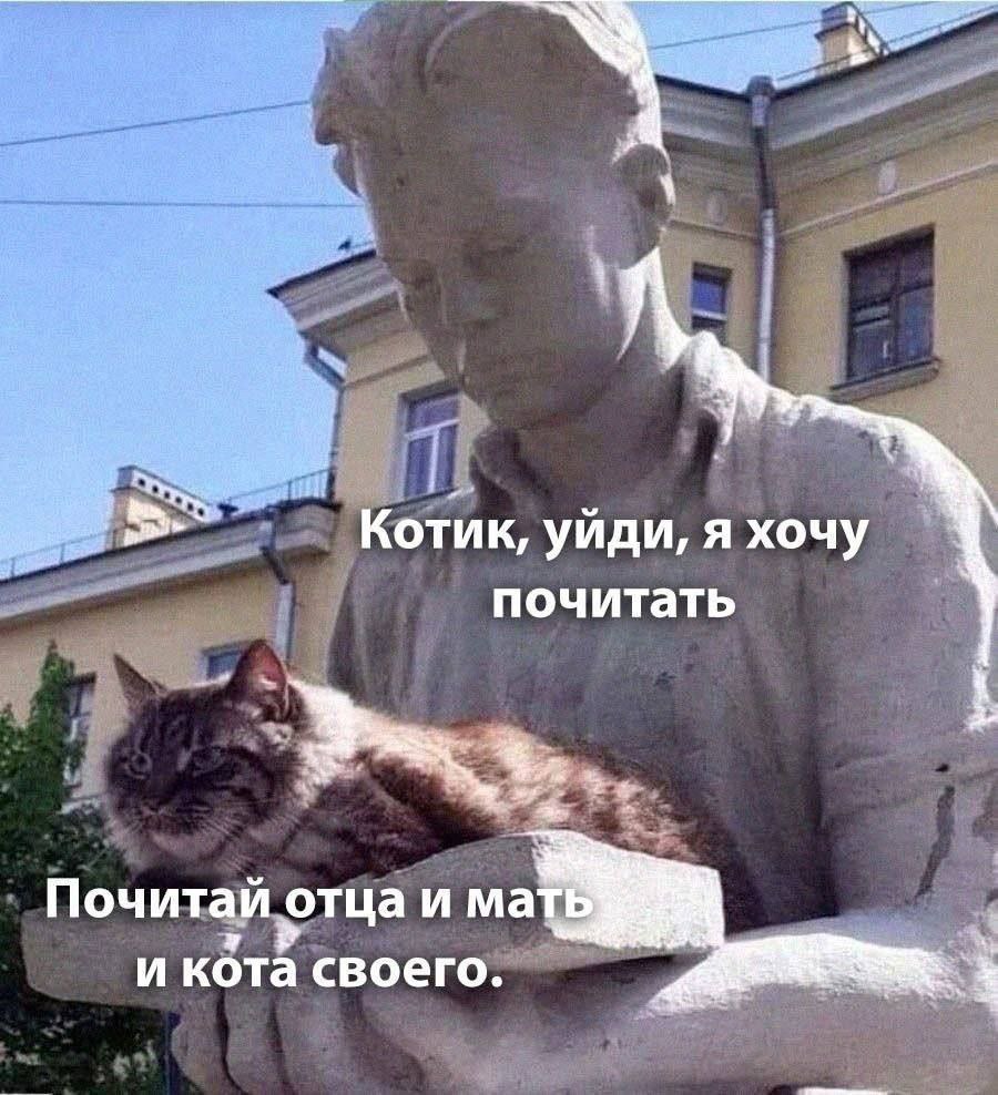 Котик, уйди, я хочу почитать Почитай отца и мать и кота своего.