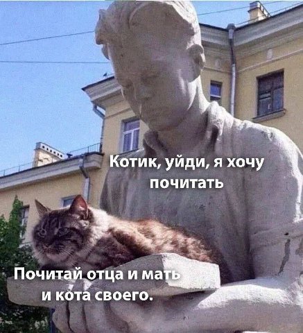 Котик, уйди, я хочу почитать Почитай отца и мать и кота своего.