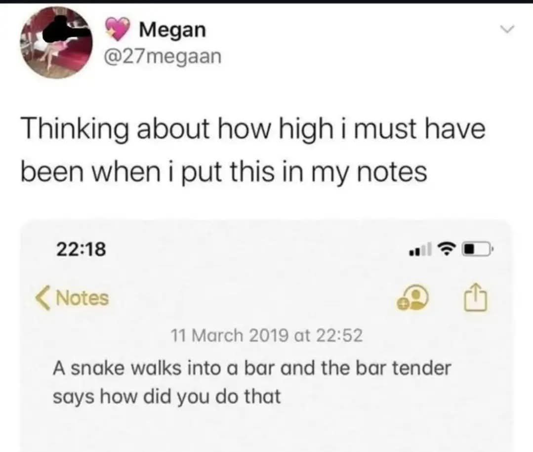 Megan @27megaan Thinking about how high i must have been when i put this in my notes 22:18 a Notes 11 March 2019 at 22:52 A snake walks into a bar and the bar tender says how did you that