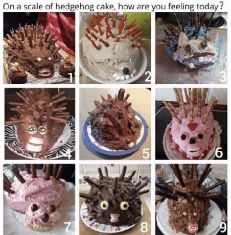 On a scale of hed ehog cake, how are you feeling today? 1