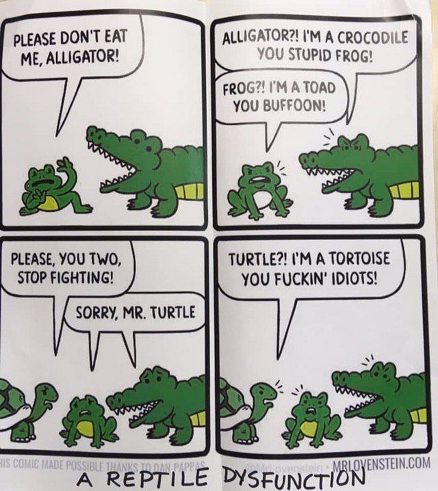 PLEASE DON'T EAT ALLIGATOR?! A CROCODIL YOU STUPID FROG! ME, ALLIGATOR! ГМА YOU BUFFOON! PLEASE, YOU TWO, TURTLE?! A TORTOISE STOP FIGHTING! YOU FUCKIN’ IDIOTS! SORRY, TURTLE VARS ENSTEIN.COM A REPTIL