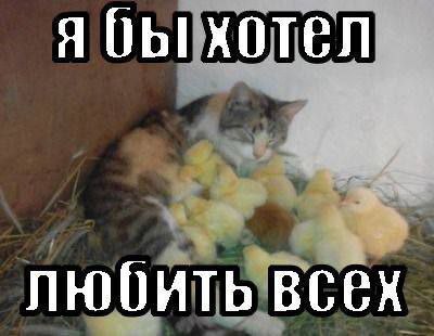 я бы хотел любить всех