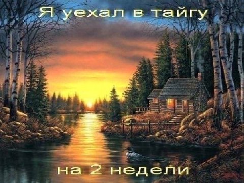 Я уехал в тайгу на 2 недели
