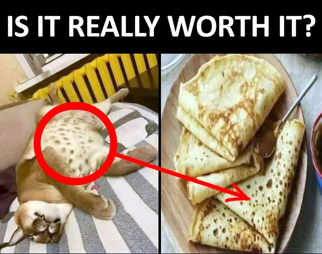 WORTH IT?