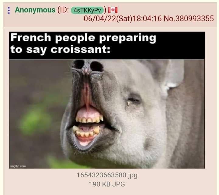 Anonymous 06/04/22(Sat)18:04:16 No.380993355 French people preparing to say 4 1654323663580.jpg 190 JPG