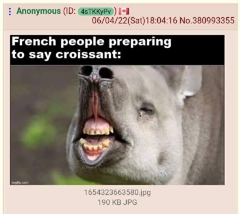 Anonymous 06/04/22(Sat)18:04:16 No.380993355 French people preparing to say 4 1654323663580.jpg 190 JPG