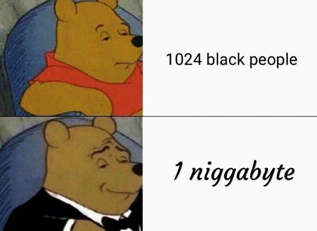 1024 black people 1 niggabyte
