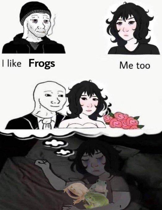 too Frogs