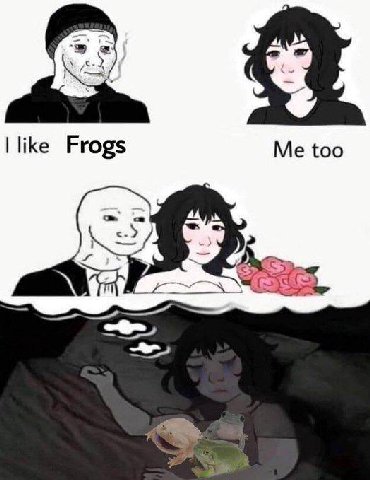 too Frogs