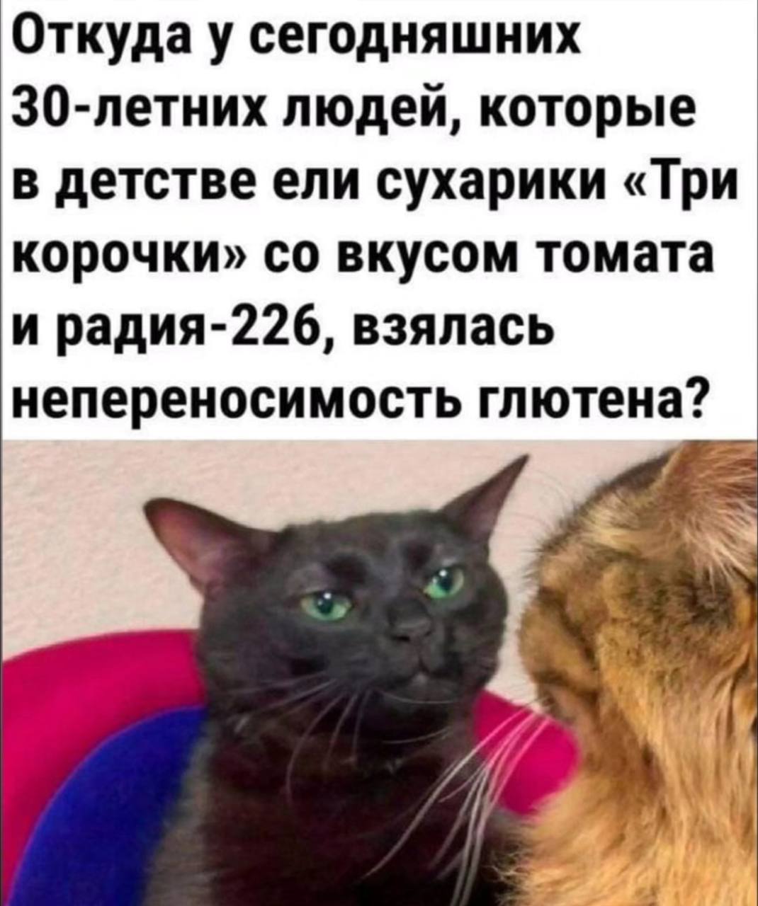 Откуда у сегодняшних 30-летних людей, которые в детстве ели сухарики «Три корочки» вкусом томата и радия-226, взялась непереносимость глютена?