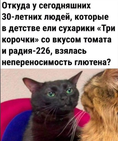 Откуда у сегодняшних 30-летних людей, которые в детстве ели сухарики «Три корочки» вкусом томата и радия-226, взялась непереносимость глютена?