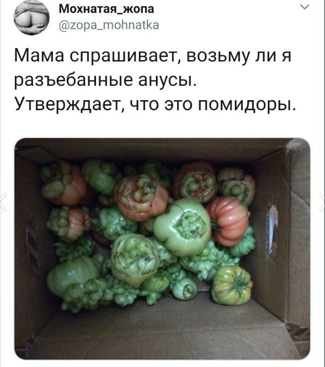Мохнатая_жопа @zopa_mohnatka Mama спрашивает, возьму лия разъебанные анусы. Утверждает, что это помидоры. 7