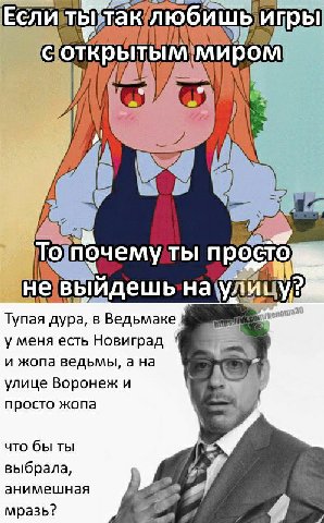игры у Wek ТЫ просто невыидешь на Тупая дура, в Ведьмаке у меня есть Новиград и жопа ведьмы, a my улице Воронеж и просто жопа что бы ты выбрала, of анимешная Mpa3b?