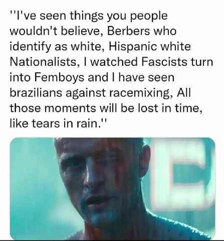 "I've seen things you people wouldn't believe, Berbers who identify as white, Hispanic white Nationalists, watched Fascists turn into Femboys and have seen brazilians against racemixing, All those mom