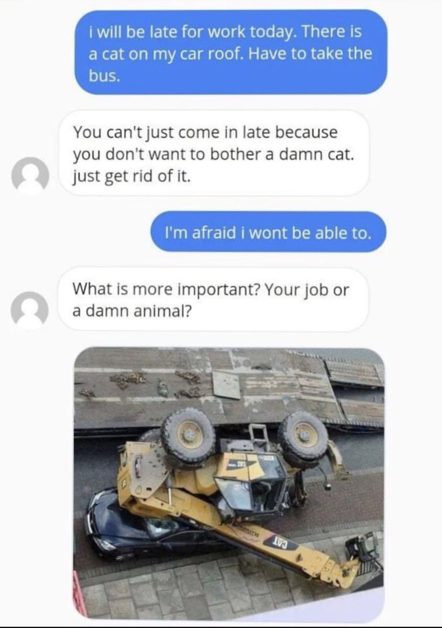 i will be late for work today. There is a cat on my car roof. Have to take the bus. You can't just come in late because you don't want to bother a damn cat. just get rid of it. afraid i wont be able t