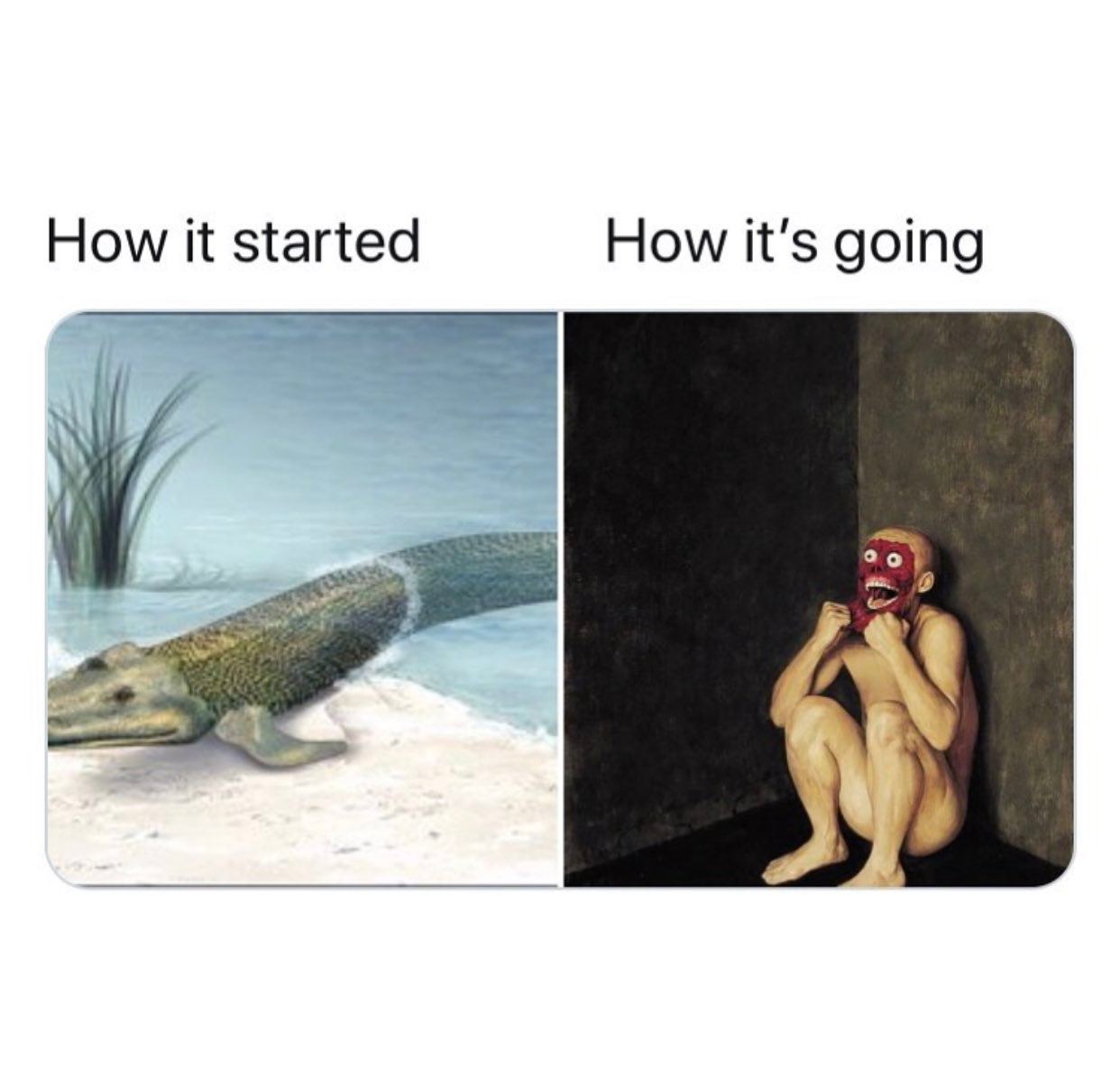 How it started How it's going