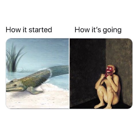 How it started How it's going