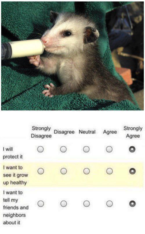 Strongly Disagree Neutral Agree Disagree Agree о protect it want to see it grow о up healthy want to tell my friends and о neighbors about it