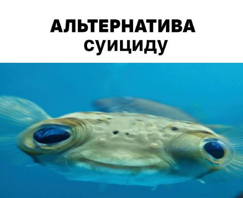 АЛЬТЕРНАТИВА суициду