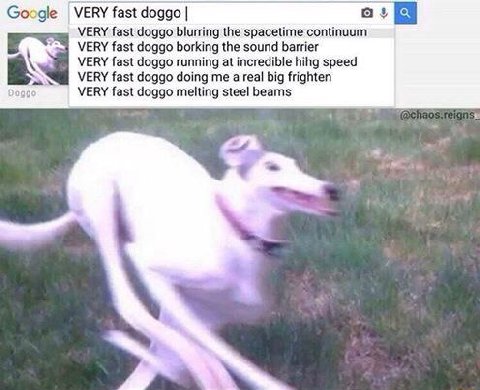 Google VERY fast doggo VERY fast doggo blurring the spacetime continuum VERY fast doggo borking the sound barrier VERY fast 90990 running at incredible hihg speed УЕКУ fast 40990 doing me a real big f