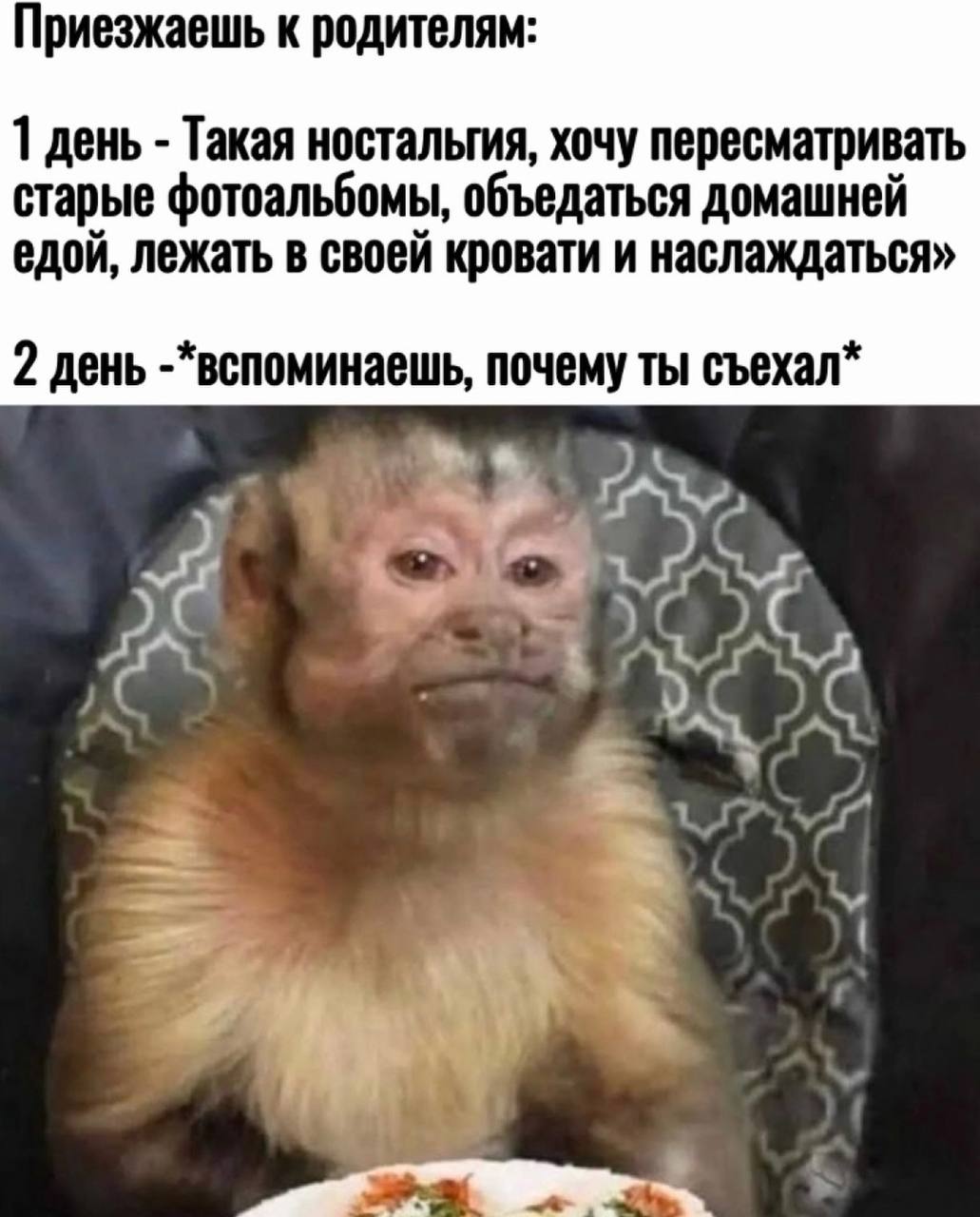 Приезжаешь к родителям: 1 день Такая ностальгия, хочу пересматривать старые фотоальбомы, объедаться домашней едой, лежать в своей кровати и наслаждаться» 2 день -*вспоминаешь, почему ты съехал* ON