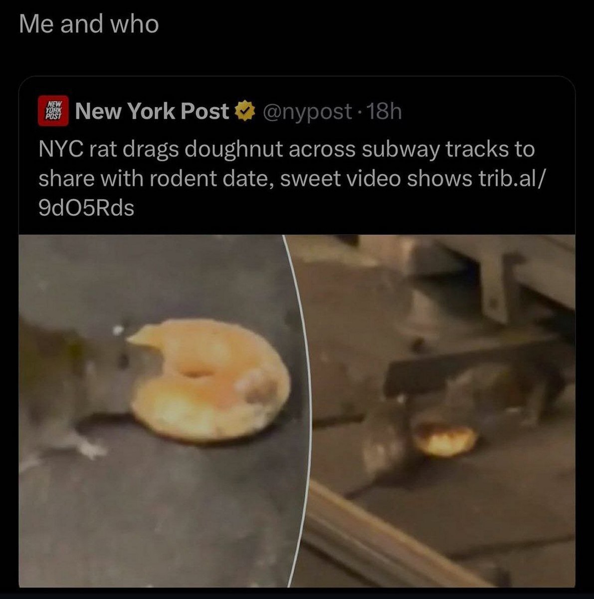 and who New York Post NYC rat drags doughnut across subway tracks to share with rodent date, sweet video shows trib.al/ 9dO5Rds