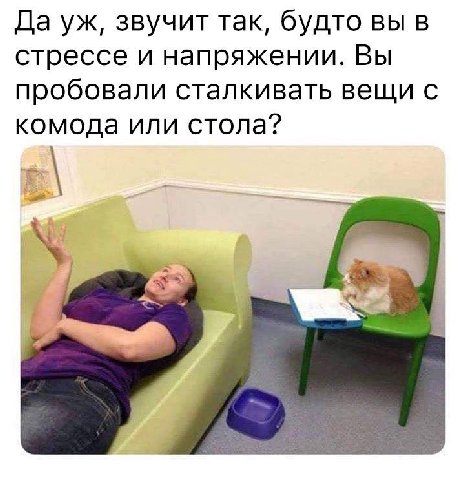 Да звучит так, будто вы в стрессе и напряжении. Вы пробовали сталкивать вещи с комода или стола?