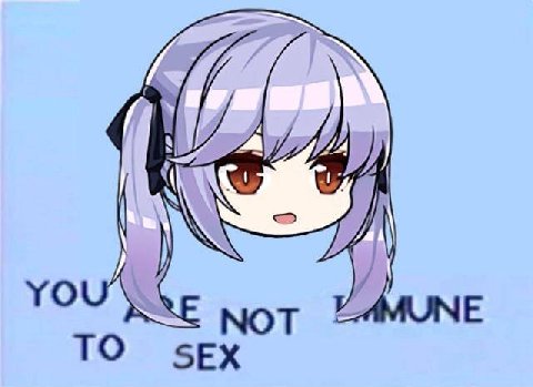 NOT ТО sex