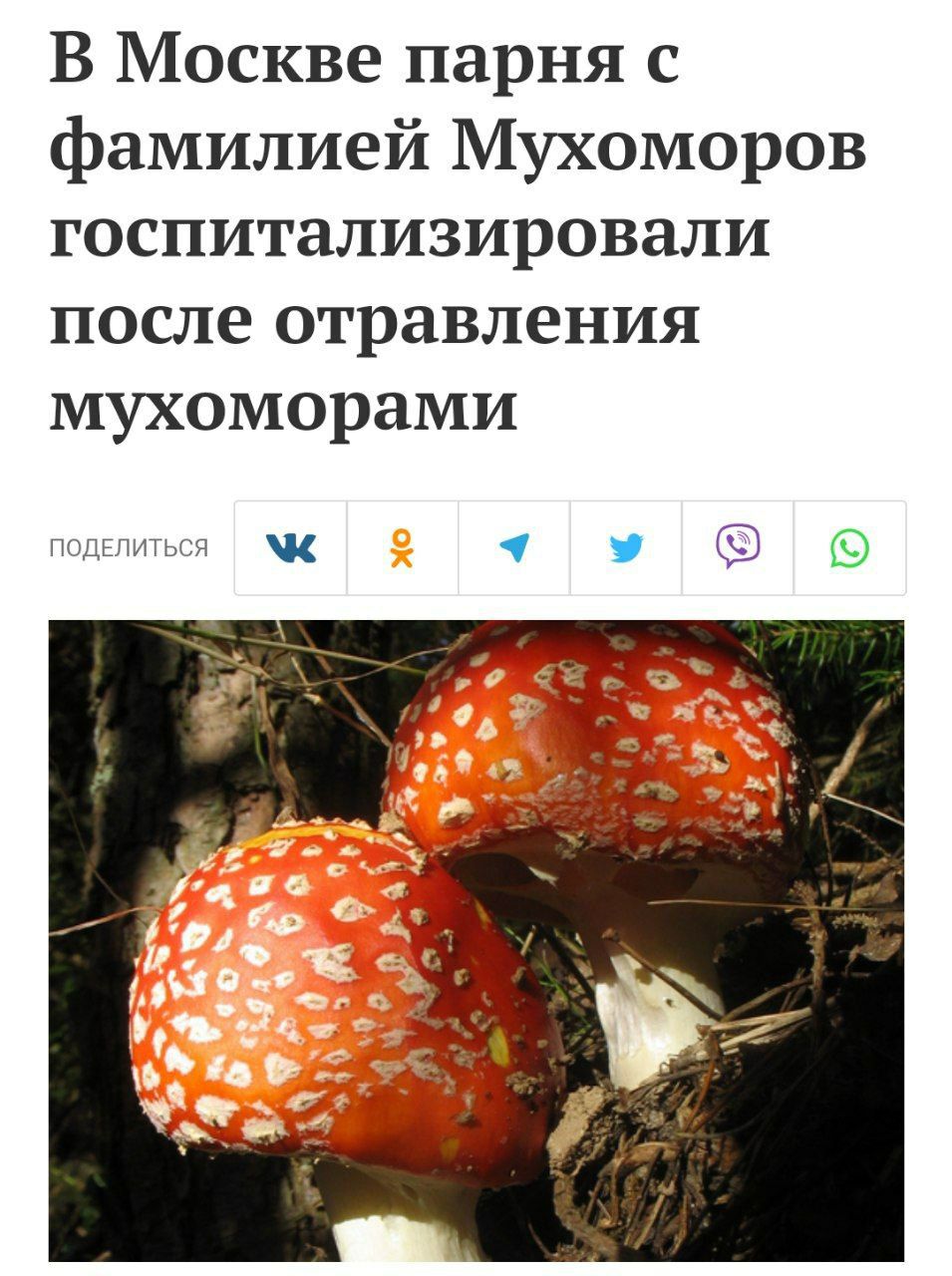 В Москве парня с фамилией Мухоморов госпитализировали после отравления мухоморами ПОДЕЛИТЬСЯ