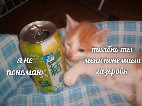 яне меня понемаеш понемаю газеровк