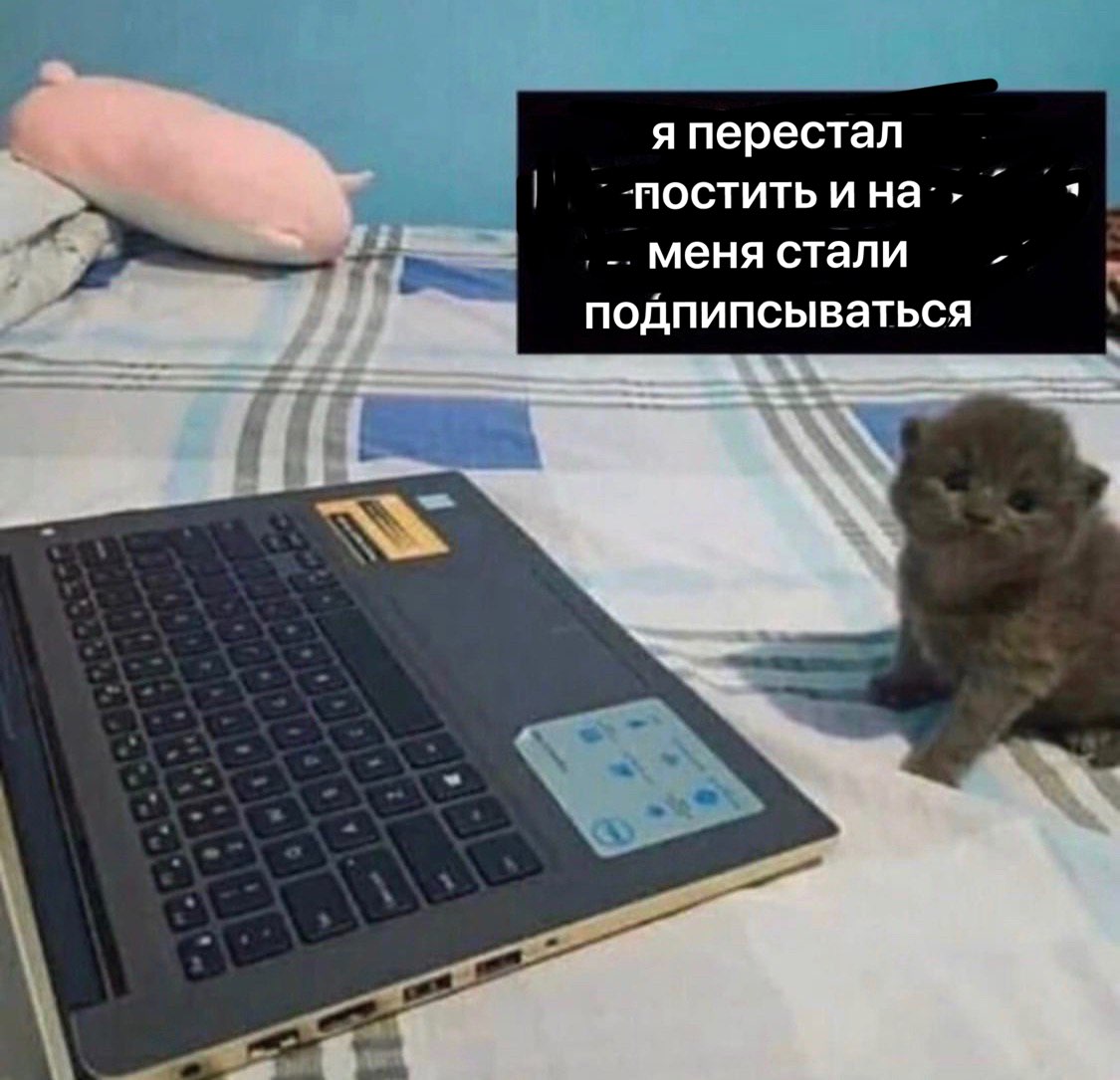я перестал постить и 4 меня стали подпипсываться