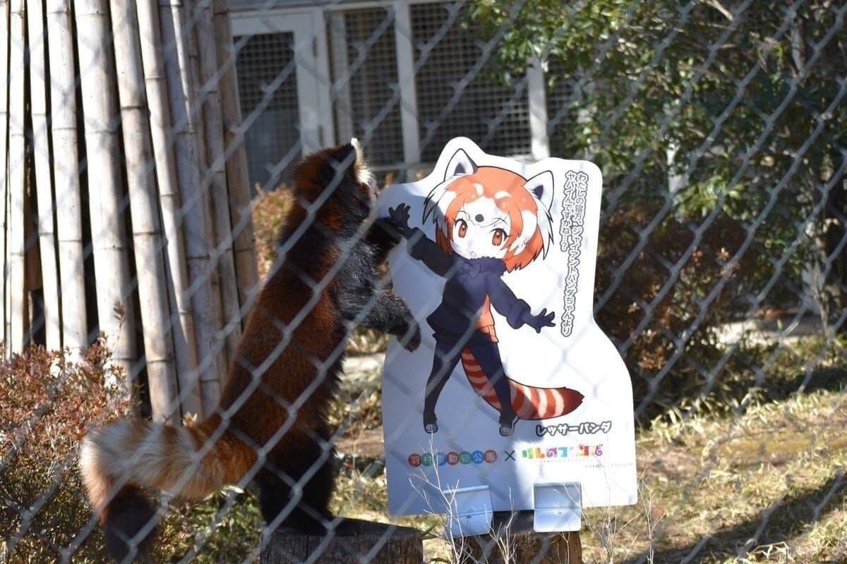у у a у Keg у We as В С 74 4 A у 7 a у 4 1