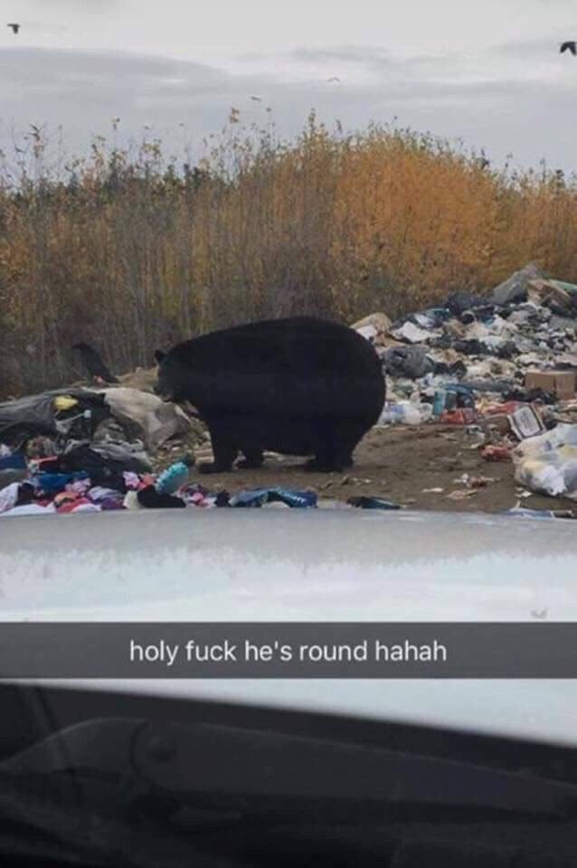 holy fuck he's round hahah