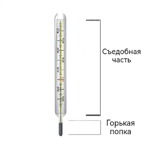Съедобная часть Горькая nonka