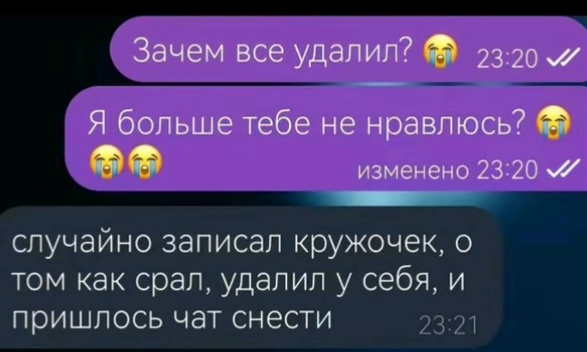 Зачем все удалил? 23.20 Я больше тебе не нравлюсь? изменено 23:20 случайно записал кружочек, о том как срал, удалил у себя, и пришлось чат снести