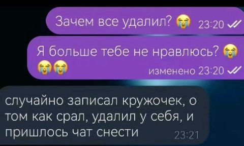 Зачем все удалил? 23.20 Я больше тебе не нравлюсь? изменено 23:20 случайно записал кружочек, о том как срал, удалил у себя, и пришлось чат снести