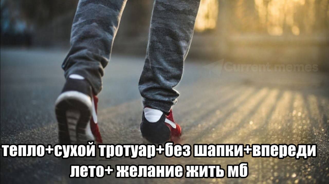 куррент мемес