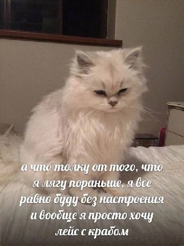 а что толку от того, что я лягу пораньше, я bce равно буду дез настроения и боодще я просто хочу лейс скрадом