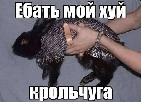 Ебать мой хуй
