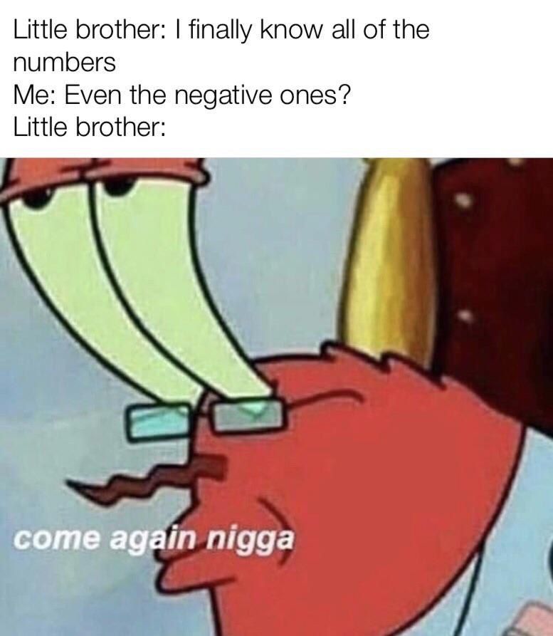 Little brother: finally know all of the numbers Me: Even the negative ones? Little brother: in nigga