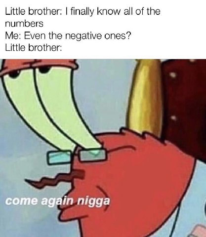Little brother: finally know all of the numbers Me: Even the negative ones? Little brother: in nigga