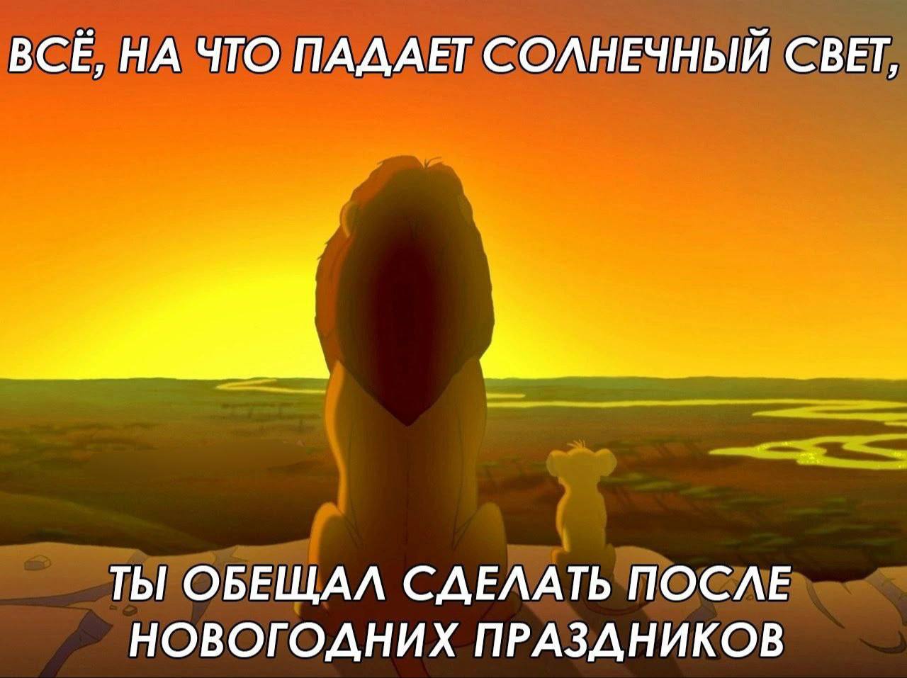 ВСЁ, НА ЧТО ПАДАЕТ СОЛНЕЧНЫЙ СВЕТ, ТЫ ОБЕЩАЛ СДЕЛАТЬ ПОСЛЕ НОВОГОДНИХ ПРАЗДНИКОВ