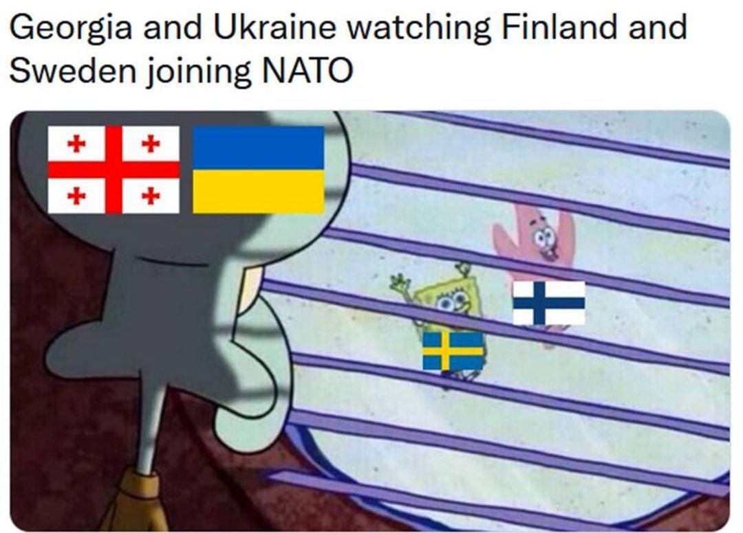 Georgia and Ukraine watching Finland and Sweden joining NATO