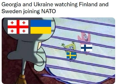Georgia and Ukraine watching Finland and Sweden joining NATO